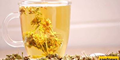 Benefits of Tribulus Terrestris Tea: Preparation, Recommended Dosage, and Side Effects