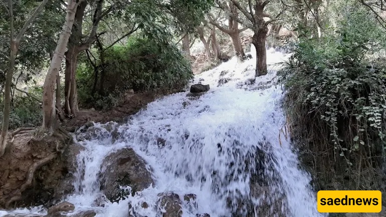 Shiraz Nature