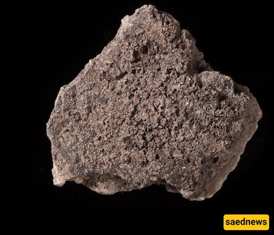 Secrets of a 5,000-Year-Old Pot: Even Stone Age People Burned Their Food!