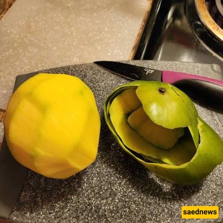 mango skin 