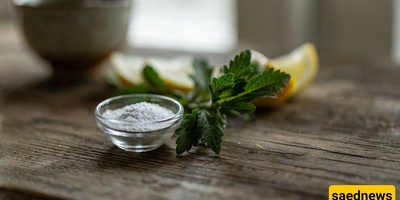 How Can the Bitterness of Stevia Be Reduced?