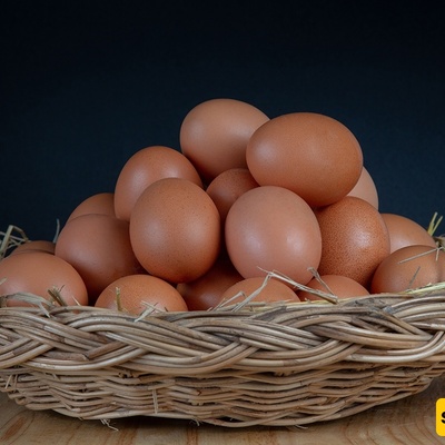Best Methods for Identifying Fresh Eggs from Old Eggs