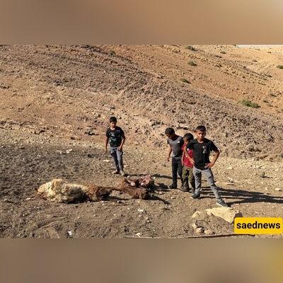 Palestinian Child Killed by Israeli Forces Amid Intensifying West Bank Land Seizures