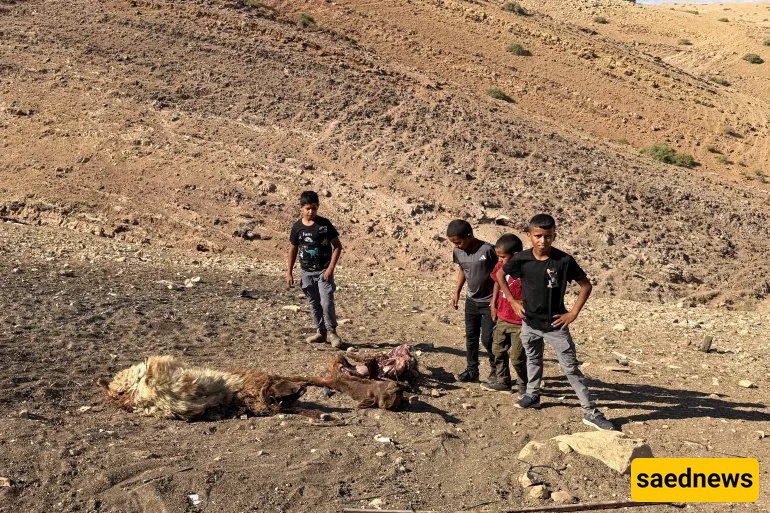 Palestinian Child Killed by Israeli Forces Amid Intensifying West Bank Land Seizures