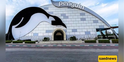 You won’t believe there’s a real snow playground under the palm trees! — Penguin Snow Park turns tropical Kish into a year-round winter wonderland!