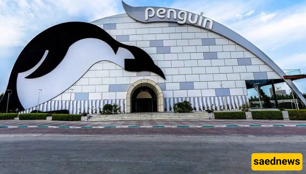 You won’t believe there’s a real snow playground under the palm trees! — Penguin Snow Park turns tropical Kish into a year-round winter wonderland!