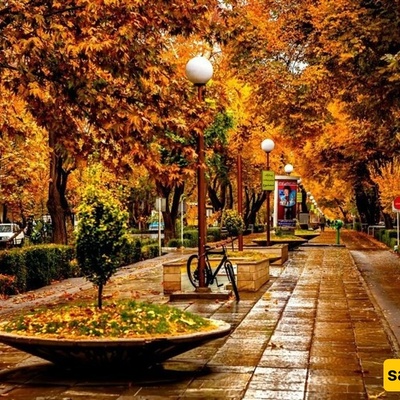 🌿 Chahar Bagh Boulevard: Strolling Through Isfahan’s Timeless Historical Avenue