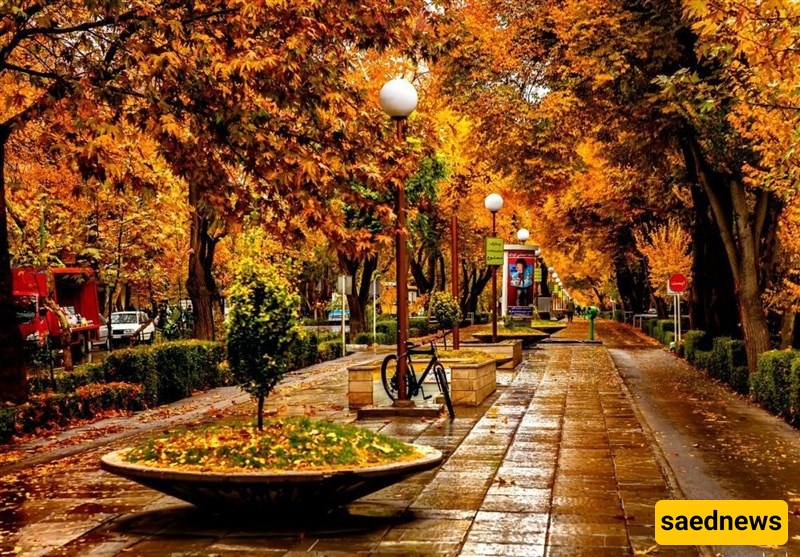 🌿 Chahar Bagh Boulevard: Strolling Through Isfahan’s Timeless Historical Avenue