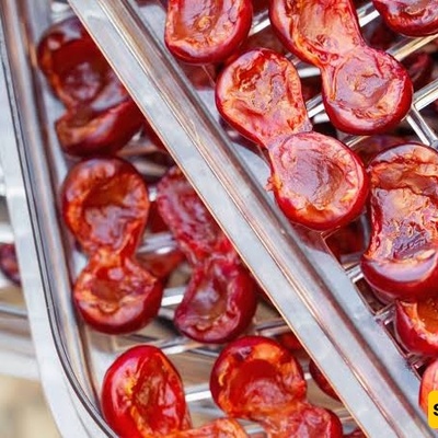 How to Dry Cornelian Cherries at Home: 3 Easy Methods