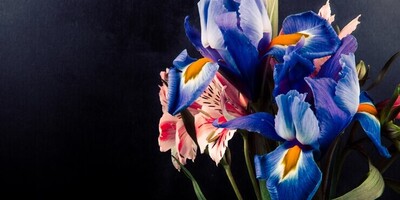 Getting to Know the Exceptional Properties of Iris