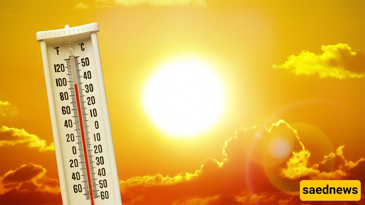 Surviving the Heat: Your Essential Guide to Extreme Heat Safety!