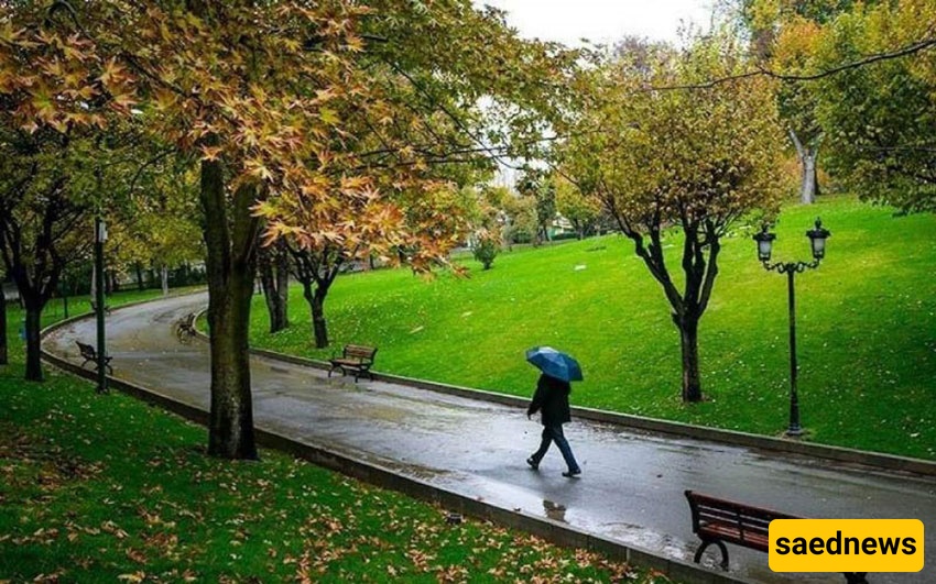  Mellat Park