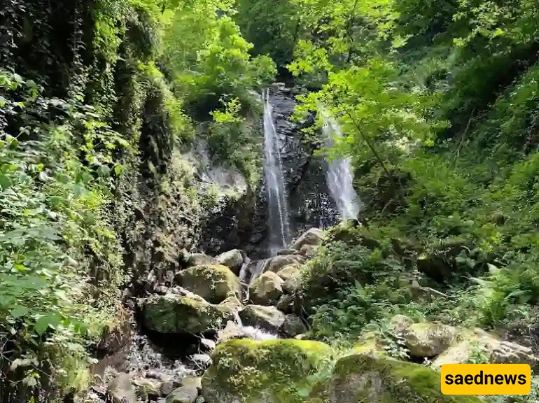 Travelers Say This Gilan Waterfall Feels Like a Fairy Tale — Photos Inside