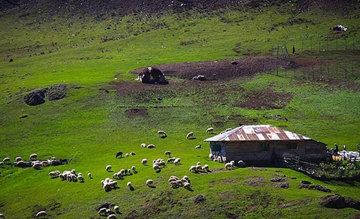 Asalem to Khalkhal road