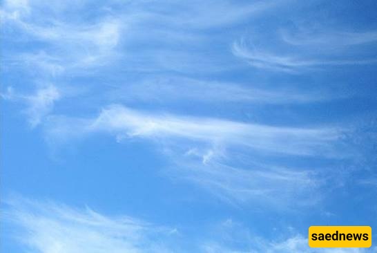 Cirrus clouds
