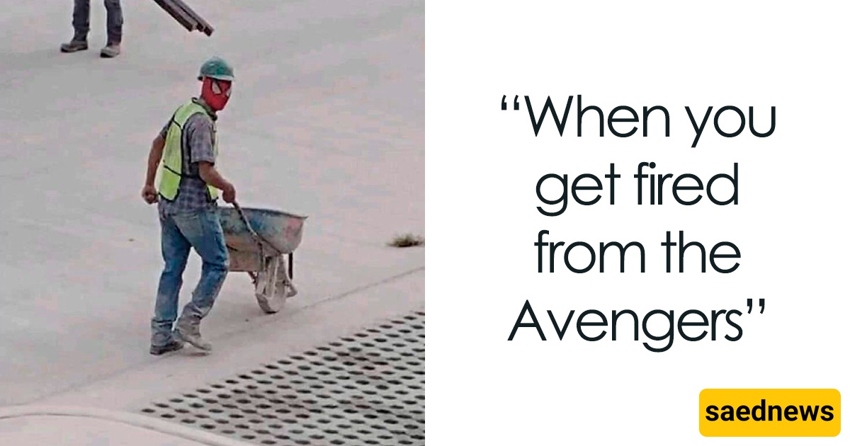 These 16 Spiderman Memes Will Make You Laugh Your Head Off!🤣(Even If You Ain't a Fan Don't Miss It!)