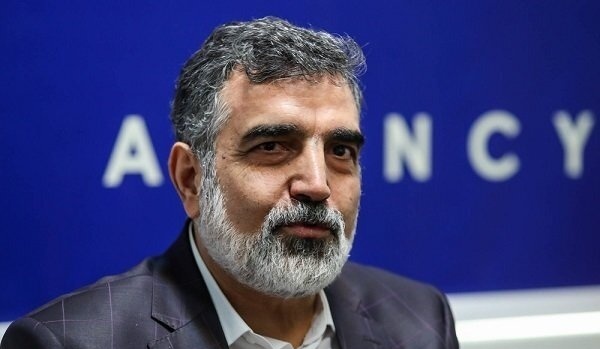 Iran Slams IAEA Over Biased Nuclear Program Review