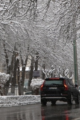 Winter in Urmia: A Snow-Covered Landscape