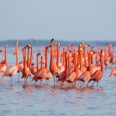 Amazing beauty of Gorgan Gulf in Iran/VIDEO