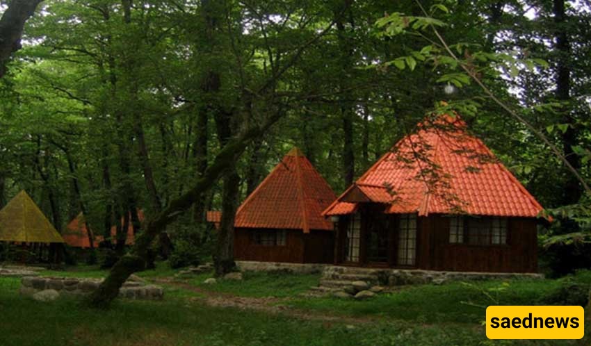Chaldareh Forest 