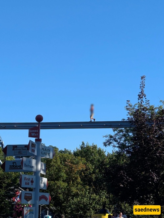 (VIDEO)Boy Rescued After Walking on Elevated Monorail Tracks at Hersheypark