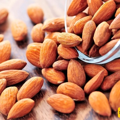 From Ancient Middle Eastern Farms to Modern Diets: The Long Journey of the Almond