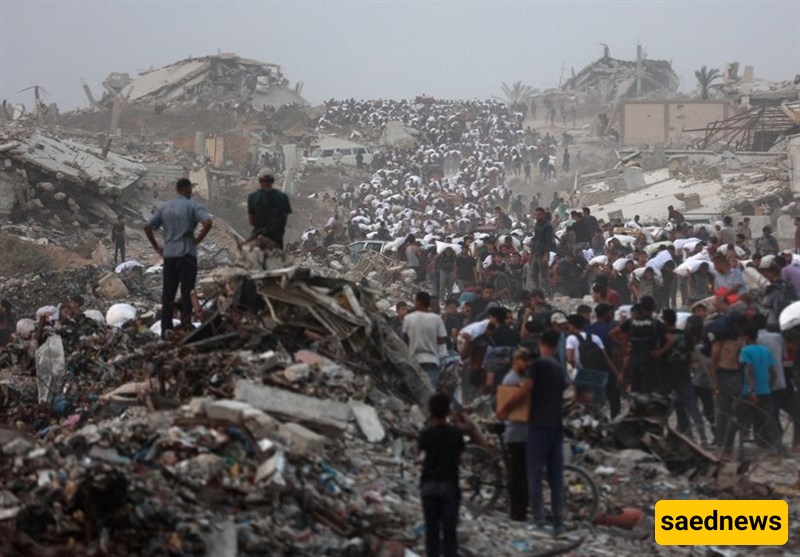 Ireland Slams Israeli Genocide in Gaza, Urges UN to Act Under Chapter Seven