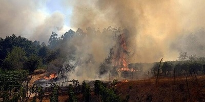 A Recent Heatwave in Spain Has Resulted in Over 1,100 Deaths