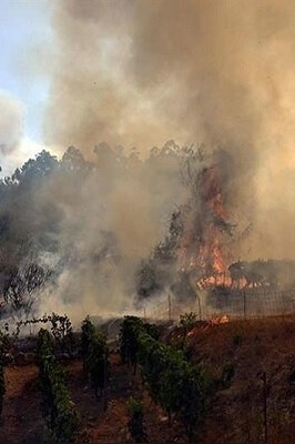 A Recent Heatwave in Spain Has Resulted in Over 1,100 Deaths