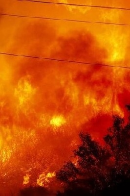 Wildfire Continues to Rage Across US Grand Canyon Park