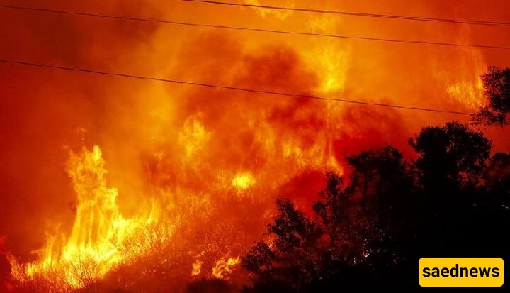 Wildfire Continues to Rage Across US Grand Canyon Park