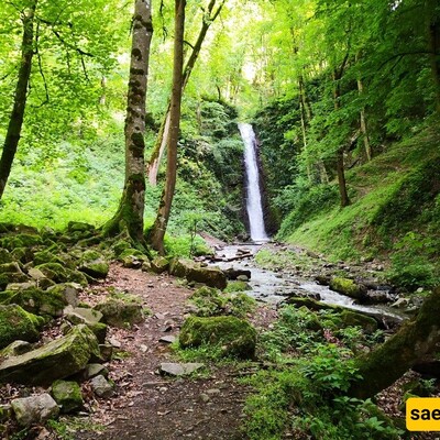 A Video of the Enchanting Beauty in the Depths of the Talesh Forests: "Koj Dariyanban Waterfall."