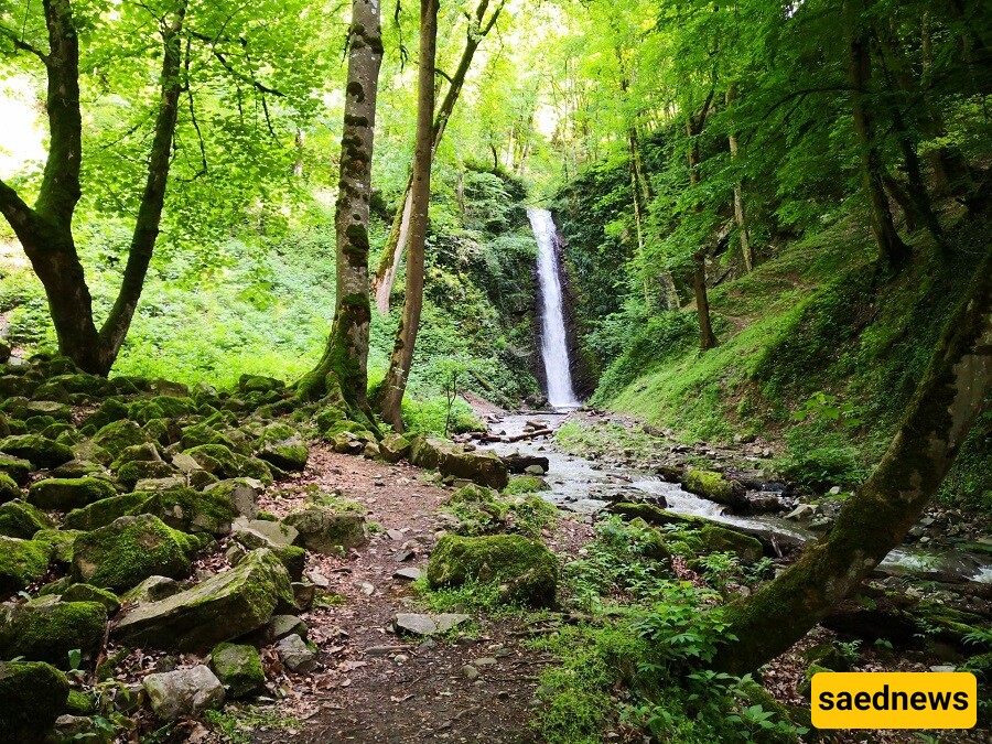 A Video of the Enchanting Beauty in the Depths of the Talesh Forests: "Koj Dariyanban Waterfall."