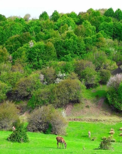  Ardabil to Astara road