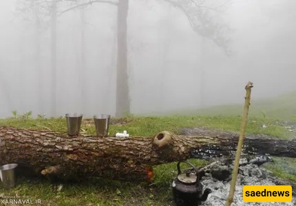 dalekhani forest