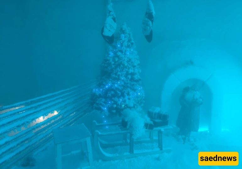 Penguin Snow Park, kish