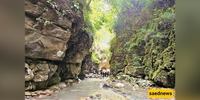 One-Day Travel Guide to Tangeh Dar Gorge in  Mazandaran Province — River-walking the “Iranian Amazon” of Mazandaran