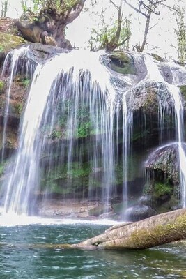 Seven Waterfalls of Tirekan, Babol: A Lost Paradise in the Heart of Lufur Forests