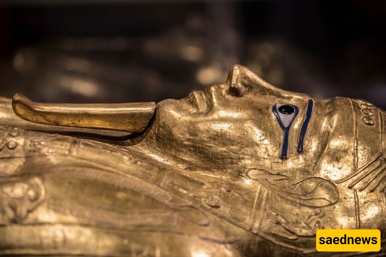 A 3,200-Year-Old Coffin Astonishingly Holds a Pharaoh and a Priest in an Unusual Burial—Plus Photos
