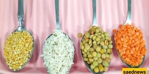 Tonight’s Dinner Suggestion | Quick Four-Spoon Soup Recipe / Perfect for Days When You Don't Feel Like Cooking but Want a Delicious and Fragrant Meal