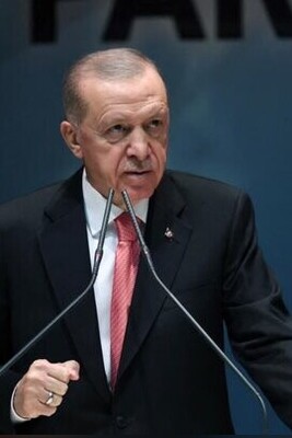 Erdogan Urges UN To Recommend Use Of Force For Gaza