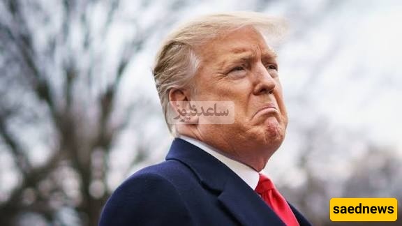 Trump Didn’t Get His Wish – The Nobel Peace Prize Won’t Go to Donald Trump.
Who Is This Year’s Nobel Peace Prize Winner?