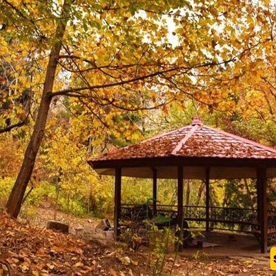 The Most Beautiful Areas of Tehran in Autumn / Perfect for Taking Artistic Photos👌