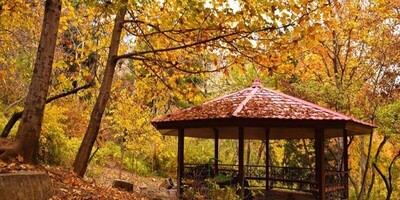 The Most Beautiful Areas of Tehran in Autumn / Perfect for Taking Artistic Photos👌