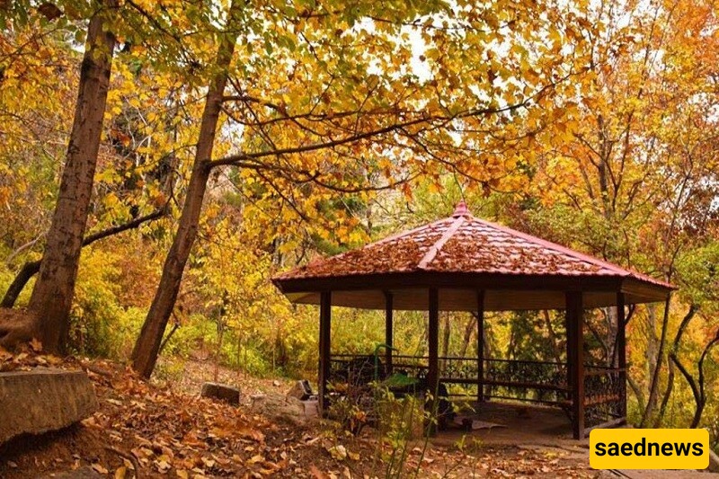 The Most Beautiful Areas of Tehran in Autumn / Perfect for Taking Artistic Photos👌