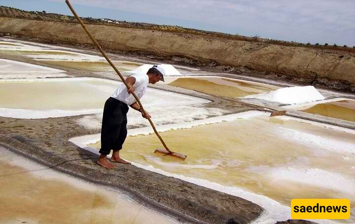 Fleur de sel