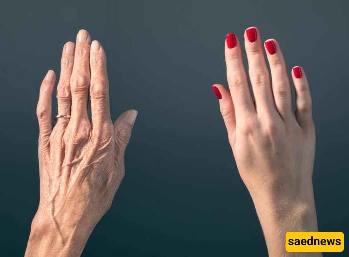 Did you know that wrinkling of the skin on your hands has nothing to do with aging? Just