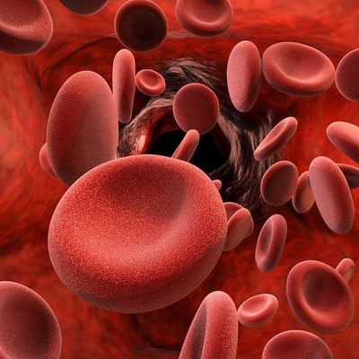 Best Foods for People with Minor Thalassemia