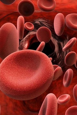Best Foods for People with Minor Thalassemia