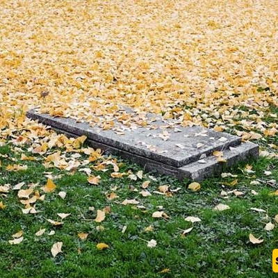 The Strangest Tombstone Belonging to a Married Couple in Love